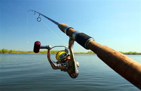 Fishing Rod .